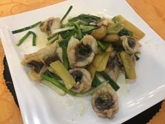 姜葱炒皖鱼片-焯明脆肉鲩世家(金沙洲店)