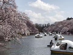 -井之头恩赐公园