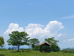 -良渚古城遗址公园