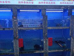 -鑫鸿达·海鲜闽菜热炒小馆(中山路店)