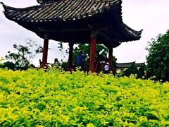 -建水文庙