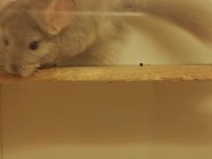 -龙猫仔乐园(惠福东路店)