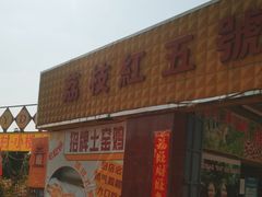 -荔枝红五号农庄