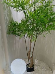 点击看大图 体验前-VE专注问题肌·赛诺龙&科学美肤中心