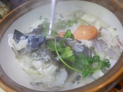 -全乐鱼馆·淳牌有机鱼直营店