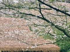 -中国茶叶博物馆(双峰馆区)