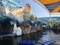 -华夏文旅海洋公园