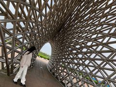 -南汇嘴观海公园