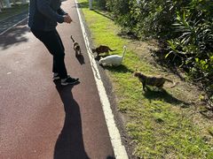 -艾溪湖湿地公园