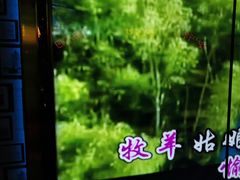 -温莎KTV(珠江路店)