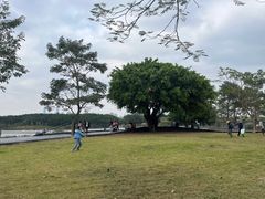 -海珠湖公园