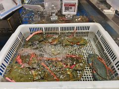-盒马鲜生(顺义店)