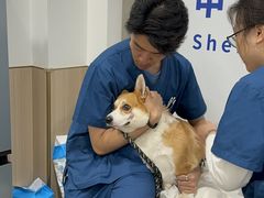 -申普宠物医院·眼科·心内科·影像科(普陀分院)