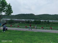 -大连铭湖国际观光牧场