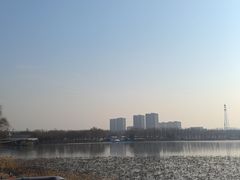 -大兴滨河森林公园