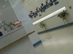 -南京医科大学友谊整形外科医院