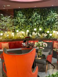 -花隐·美芙炫海菲秀皮肤管理中心