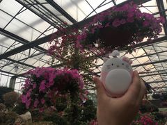 -南通洲际绿博园