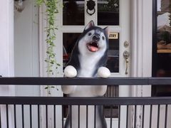 -TrueLove @ Neverland (Husky Cafe)