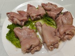-丁老爷子苏香圆