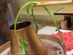 -五十六号院涮肉(雍和宫店)