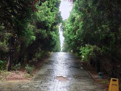 -秦始皇帝陵博物院-丽山园