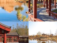 -张家湾公园
