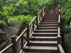 -大岭沟猕猴桃谷风景区
