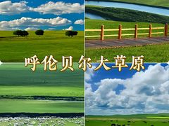 -呼伦贝尔大草原