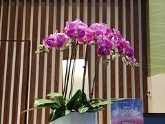 -长白山万达锦华套房酒店