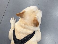 -张记汤馆(嫩江路店)