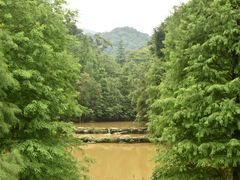 -云溪植物园
