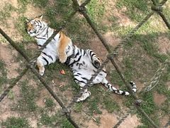 -西霞口神雕山野生动物世界