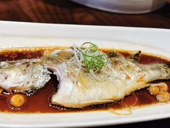 -十八棵（老龙井）御茶园(老龙井店)