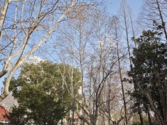 -徐家汇源景区-衡山公园