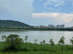-风云岭森林公园