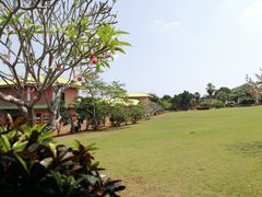 -侯臣咖啡文化村