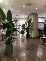 -崇尚GAVIN STYLE臻选