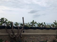 -东极岛景区