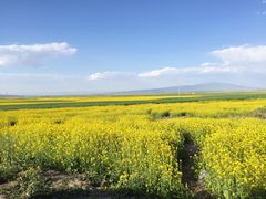 -青海湖国家重点风景名胜区