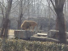 -秦皇岛野生动物园
