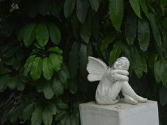 -广东花都香草世界旅游度假区