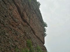 -民间老鸡汤面馆(中山北路店)