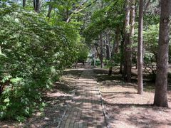 -黑龙江省森林植物园