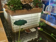 -宏宴·新京菜(望京店)