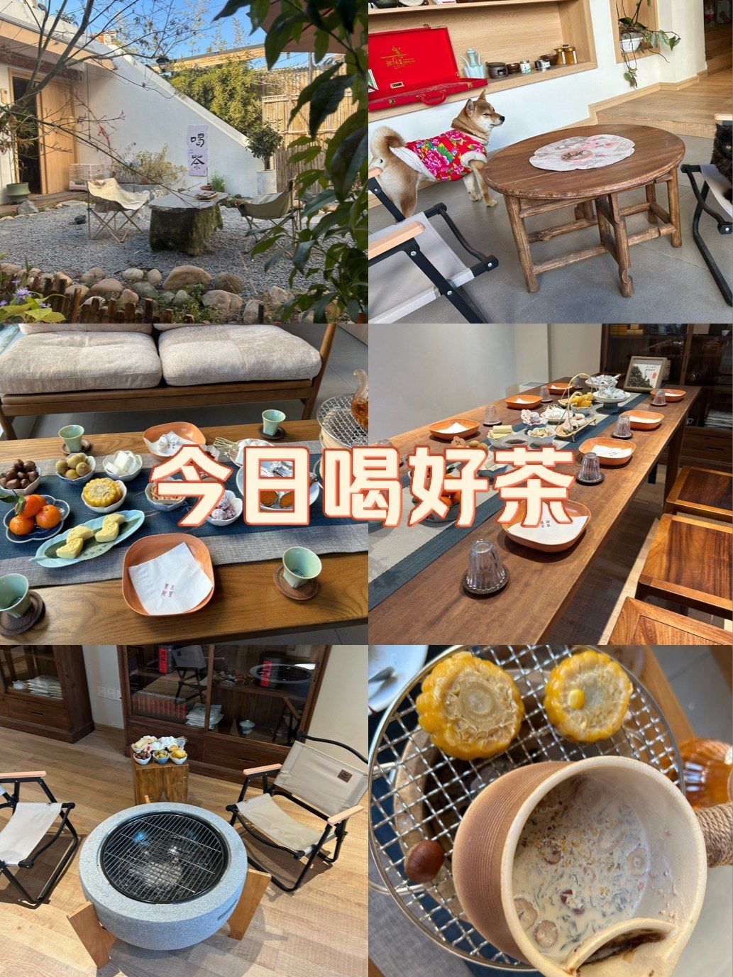 上海品茶推荐网站有哪些店铺_上海品茶推荐网站有哪些店铺呢 上海品茶推荐网站有哪些店铺_上海品茶推荐网站有哪些店铺呢