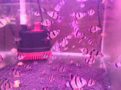 -鸿通城购物中心