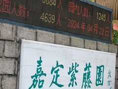 -嘉定紫藤园