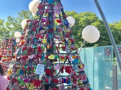 -新世界百货(明洞总店)