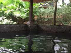 -三亚珠江南田温泉度假区